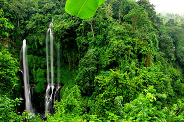 Sekumpul Waterfall Trekking