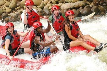 Sarapiquí River Whitewater Rafting Tour from La Fortuna