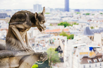 Skip the Line: Guided Tour of Notre Dame Cathedral Towers