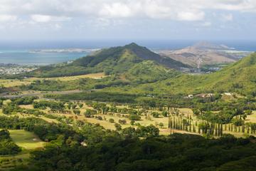 Oahu and Pearl Harbor Sightseeing Tour from Waikiki