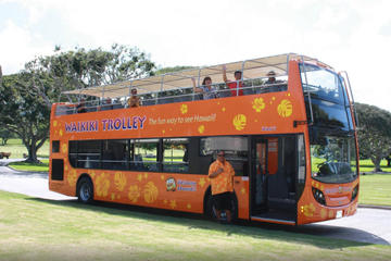 Waikiki Trolley Hop-On Hop-Off Tour of Honolulu