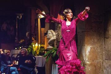 Barcelona Evening Flamenco Show and Gourmet Dinner with Premium Small Group