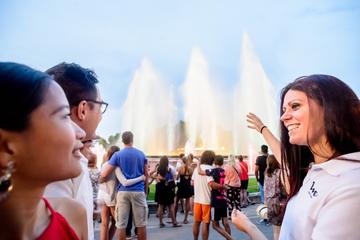 Barcelona Magic Fountain and Night Lights Premium Small Group Tour by Luxury Minibus