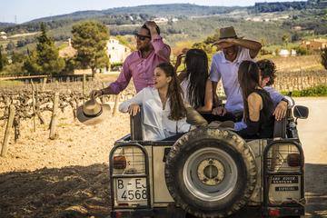 Local Wine & Cava with Tapas & 4WD Vineyard Experience Premium Small Group from Barcelona