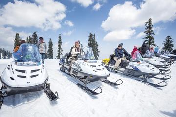 Snowmobile Tour & Mountain Hut overnight with breakfast & dinner in Andorra