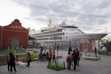 Private Transfer Rio de janeiro Cruise Port to GIG Galeao International Airport