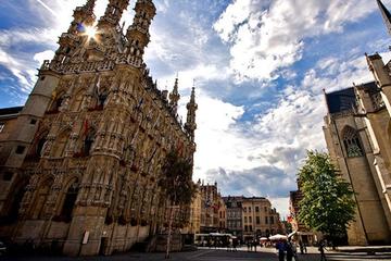 Leuven Guided Tour from Brussels