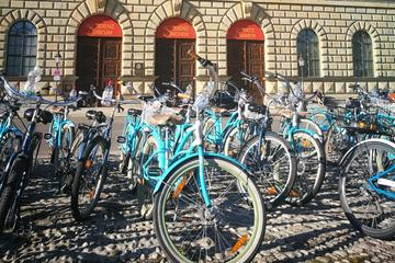 Superior 5 hour extensive Bike Tour of Munich