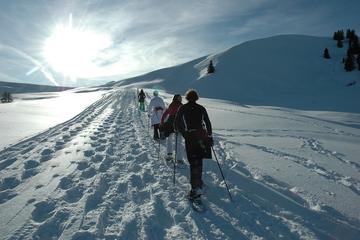 Snowshoe Tour from Interlaken