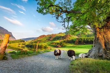 4-Day York, Durham and the Lake District Tour from Edinburgh