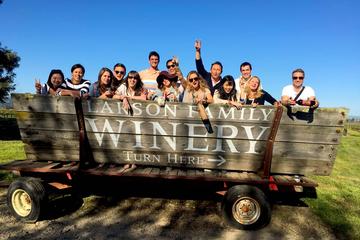 Sonoma Wine Tour from San Francisco