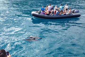 Na Pali Coast Snorkel and Rafting Adventure