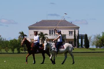 Become a Polo Player: Day Trip to Puesto Viejo Estancia