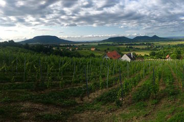 Private Somló and Northern Balaton Wine Day Trip from Budapest