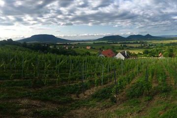 Small-Group Somló and Northern Balaton Wine Day Trip from Budapest