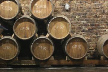 Villány Wine Country Day Trip from Budapest Including Lunch