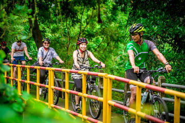 Half-Day Small-Group Bang Krachao Bike Tour from Bangkok