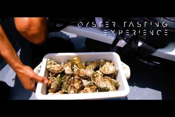 Segway Surf and Oysters!