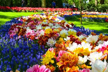 Excursion d’une journée combinée : jardins de Keukenhof et moulins à...