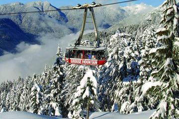 Grouse Mountain Admission - Alpine Experience