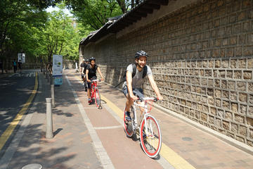 Morning Seoul City Bike Tour