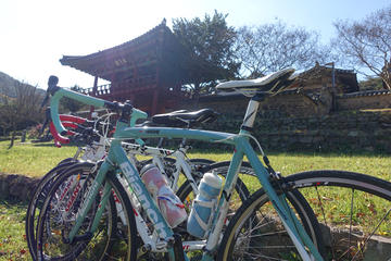 Private Multi-Day Bike Tour from Seoul