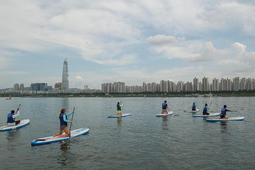 Stand Up Paddleboard Board Lesson and Tour on Han River