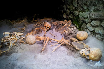 Private Herculaneum Walking Tour