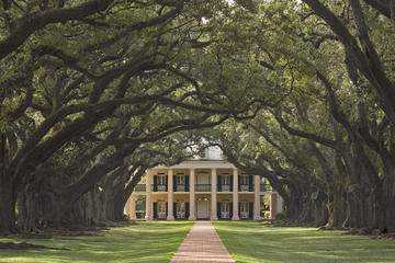 Oak Alley and Laura Plantation Tour with Transportation from New Orleans