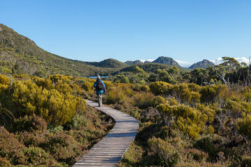 Hartz Mountains and Tahune Airwalk - private sightseeing and photography tour from Hobart