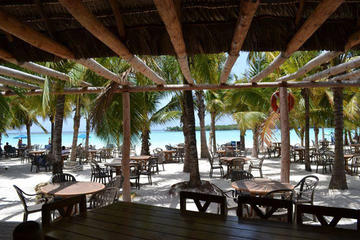 4-Hour Caribbean Beach Fun and Relaxation in Boca Chica from Santo Domingo
