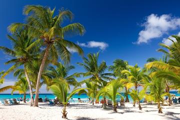 Saona Island Catamaran Cruise from Santo Domingo