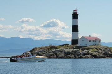 Victoria Marine Wildlife Tour