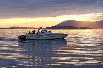 Victoria Sunset Whale-Watching Cruise
