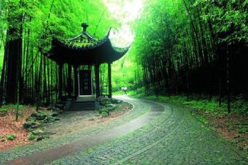 All-Inclusive Hangzhou Highlights Tour with Boat Ride and Lunch