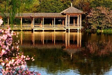Hangzhou West Lake Walking Day Tour