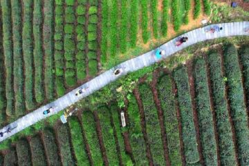The Mostly Recommended Hangzhou City Tour with Authentic Lunch