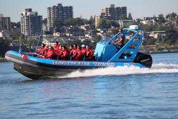 4-Hour Bowen Island Festival of Lights Boat Tour with Dinner from Vancouver