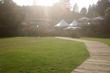 Bowen Island Dinner and Zodiac Tour