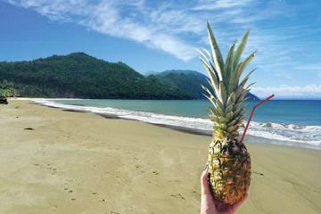 Authentic Samana Tour: Beach and Waterfall Day Trip from Punta Cana