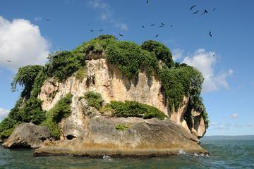 Los Haitises National Park and Savanna de la Mar Trip from La Romana