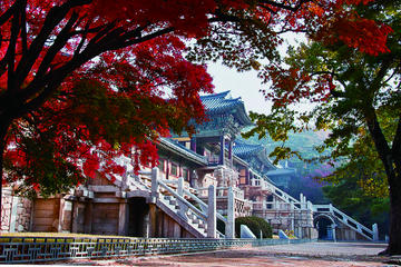 3-Day Tour of Eastern Korea from Busan to Seoul