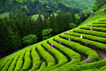3-Day Tour of Western Korea from Seoul to Busan