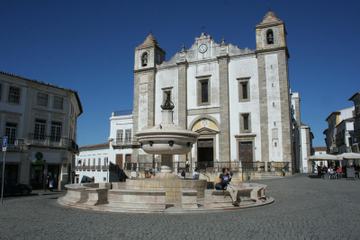 Excursão particular: Passeio de um dia em Évora e Almendres Cromlech, saindo de Lisboa