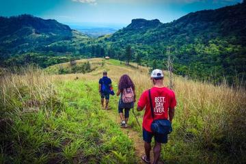 Small-Group Hiking Adventure Including Lunch with a Local Family from Nadi