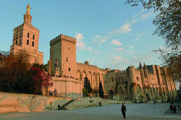Half-day Private Tour to Avignon from Aix en Provence