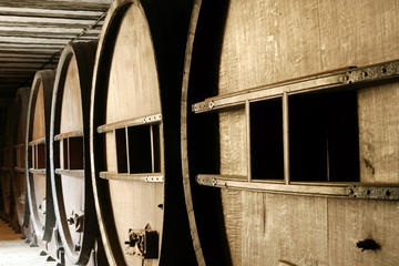 Half-Day Small-Group Wine Tour in Coteaux de Provence from Aix en Provence