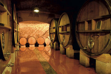 Private Côtes du Rhône wine tour - Gigondas and Châteauneuf du Pape