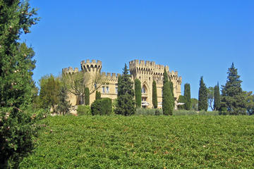 Private Day Tour to Avignon and Chateauneuf-du-Pape Wineries from Aix-en-Provence