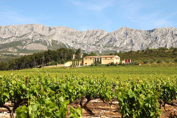 Private Tour in Aix en Povence & Winery from Marseille